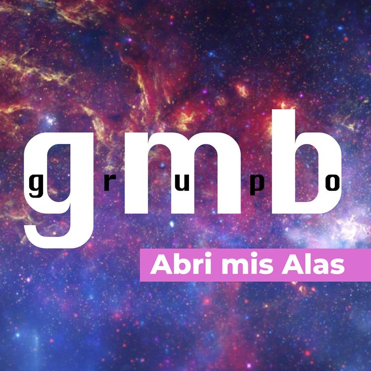 GRUPO GMB's avatar image