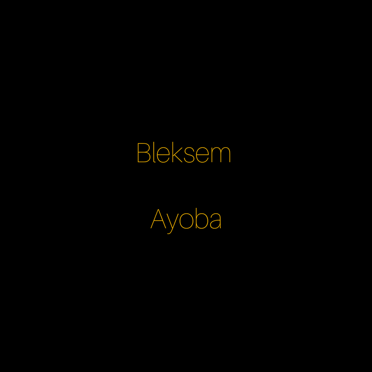 Bleksem's avatar image