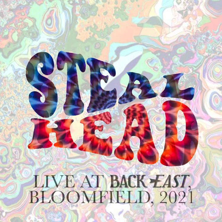 Stealhead's avatar image