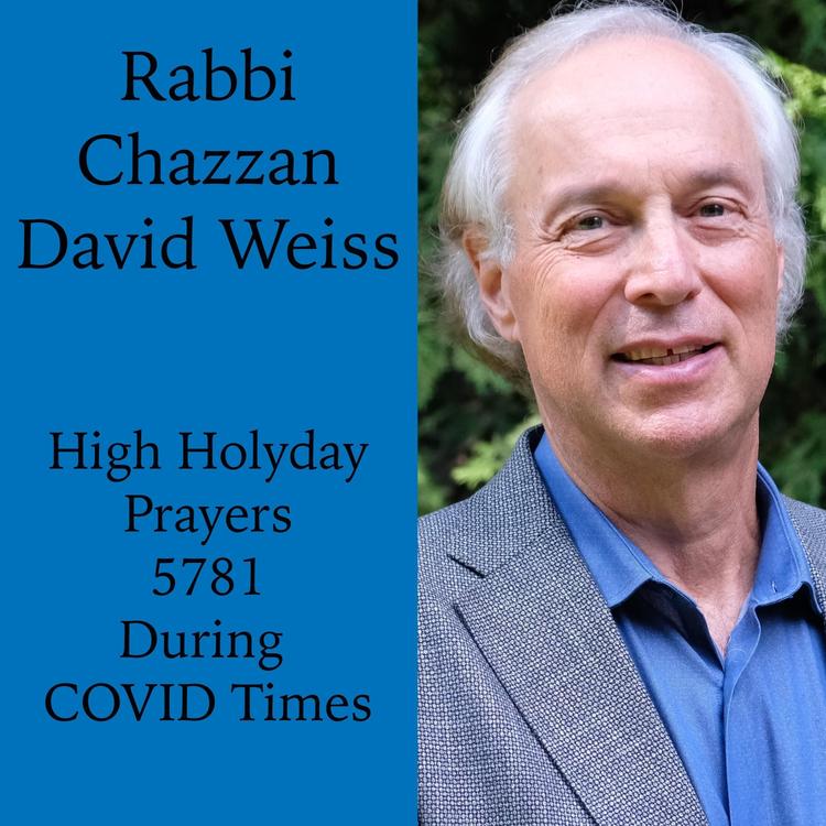 Rabbi Chazzan David Weiss's avatar image