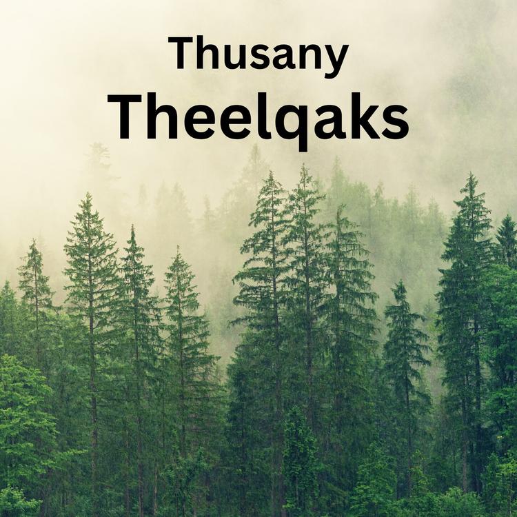 Thusany's avatar image