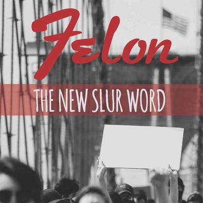 Felon (The New Slur Word)'s cover