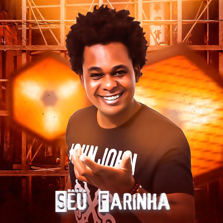 Seu Farinha's avatar image