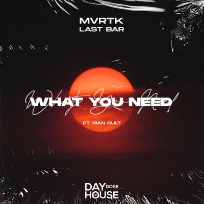 What You Need By MVRTK, Last Bar, Rian Cult's cover