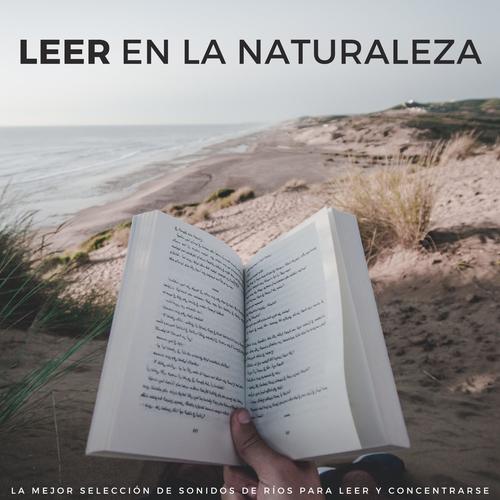 Canciones para Estudiar y Concentrarse Mejor 