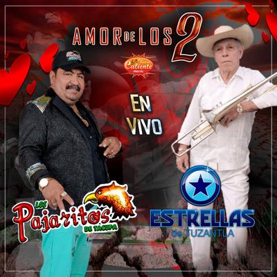 Amor de los Dos (En Vivo)'s cover