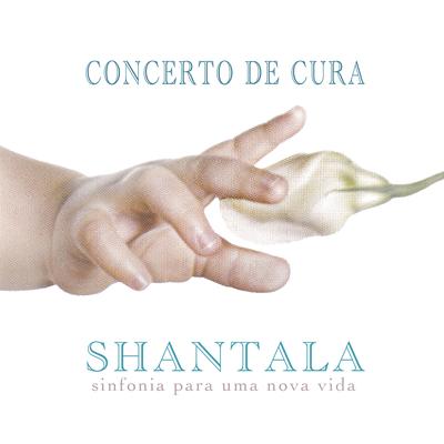 Sinfonia para uma Nova Vida By Concerto de Cura, Adriano Grineberg, Edu Gomes & A Pirâmide, Edson Aquino, Sonia Santhelmo, Vasco Faé's cover