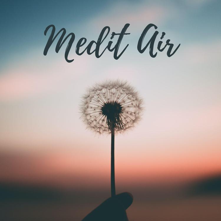 Medit air's avatar image