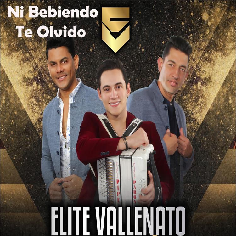 Elite Vallenato's avatar image