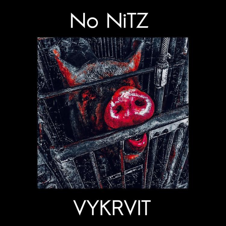 No Nitz's avatar image
