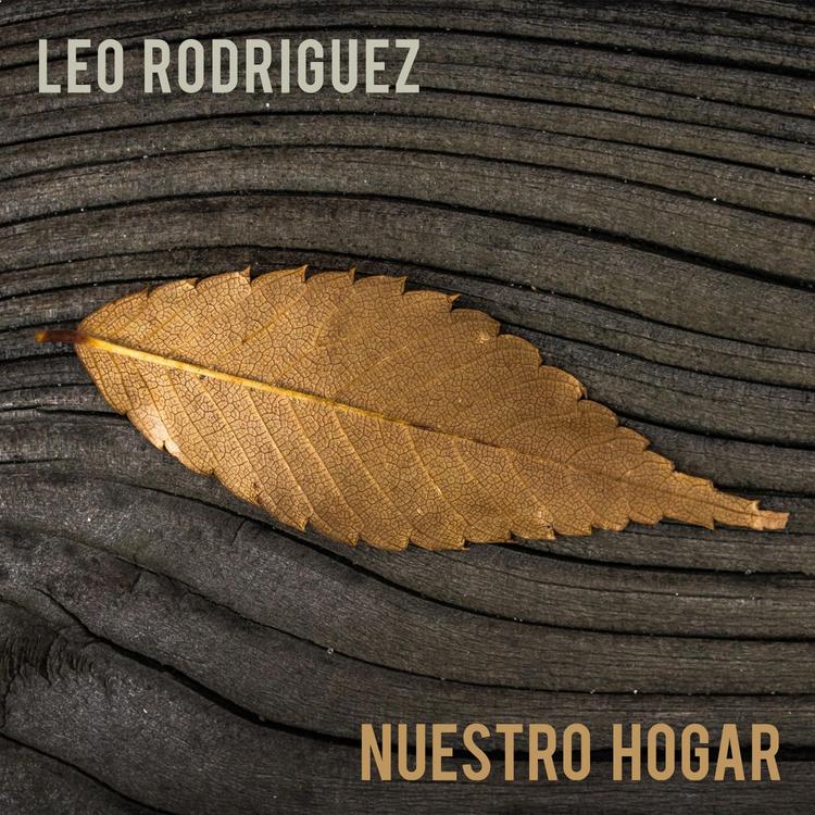 Leo Rodríguez's avatar image