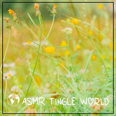 ASMR Tingle World's cover