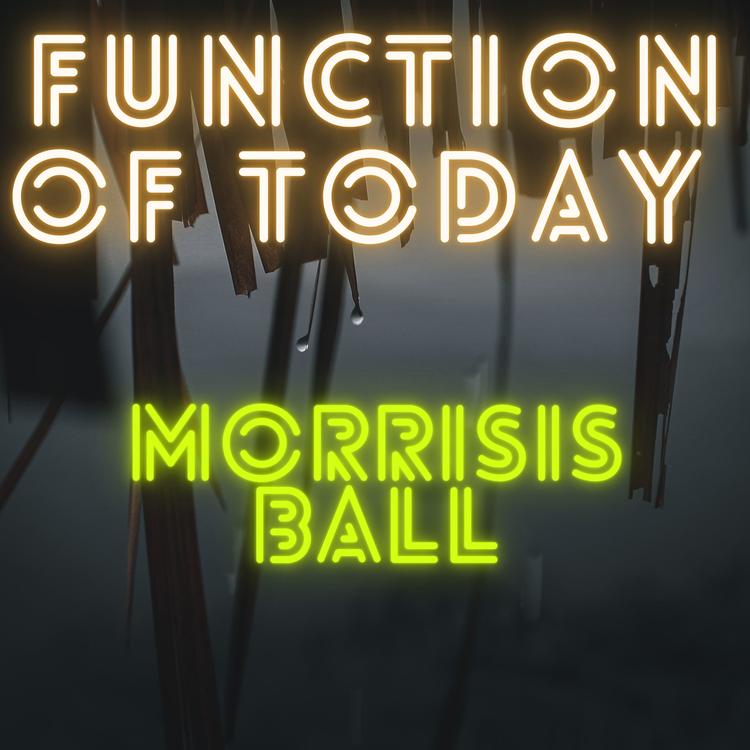 Morrisis Ball's avatar image