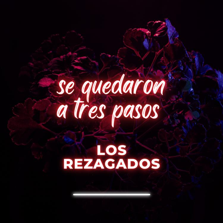 Los rezagados's avatar image