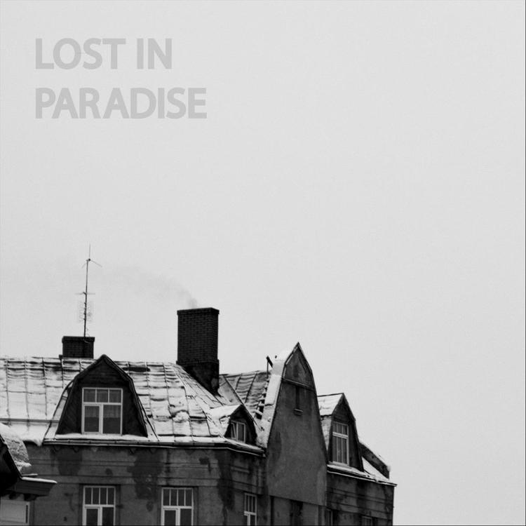 Lost in Paradise's avatar image