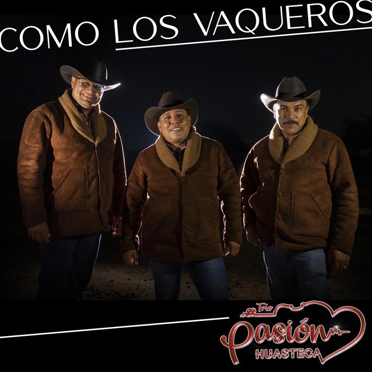 Trio Pasión Huasteca's avatar image