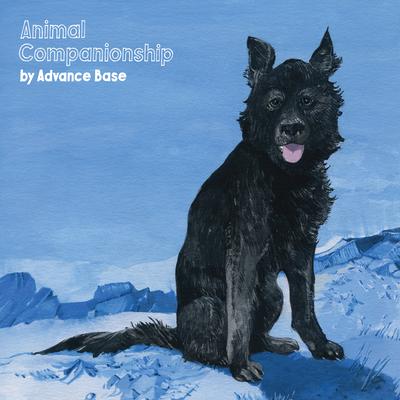 Animal Companionship's cover