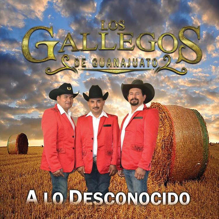 Los Gallegos de Guanajuato's avatar image