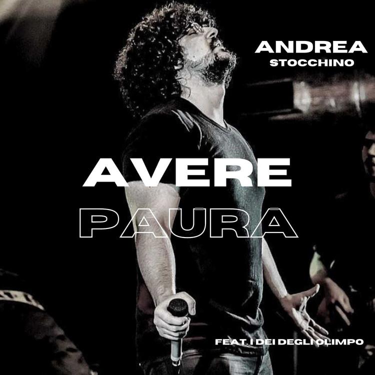 Andrea Stocchino's avatar image