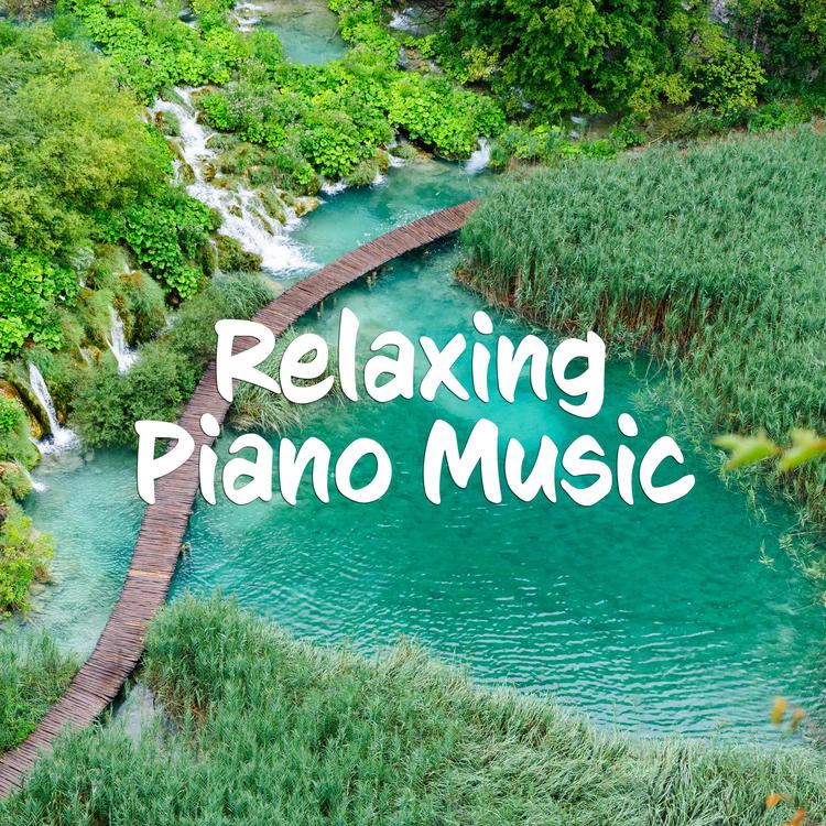 Soothing Relaxing Melody's avatar image