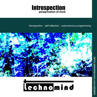 Introspection: Peregrination of Mind By Technomind's cover