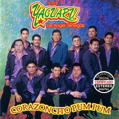 Vida No Te Vayas By Los Yaguarú's cover