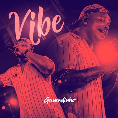 Vibe (Ao Vivo) By Gamadinho's cover