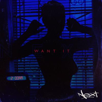 Want It By Next's cover