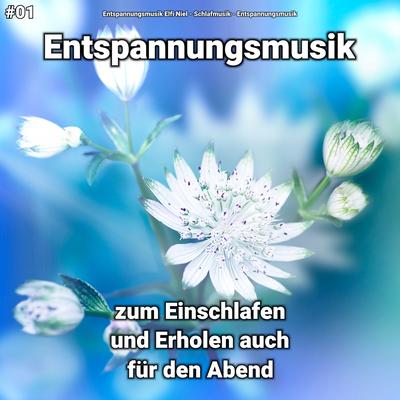 #01 Entspannungsmusik zum Einschlafen und Erholen auch für den Abend's cover