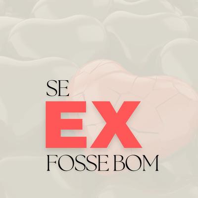 Se Ex fosse Bom By DJ Tortinho's cover