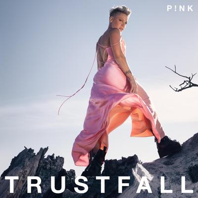 TRUSTFALL's cover