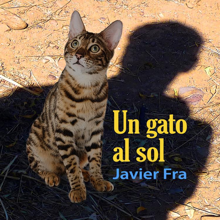 Javier Fra's avatar image