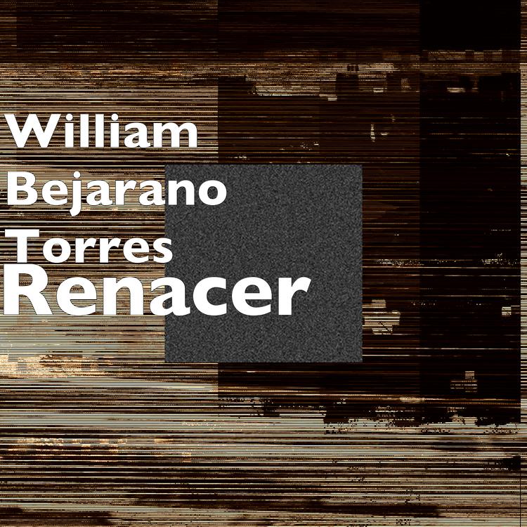 William Bejarano Torres's avatar image