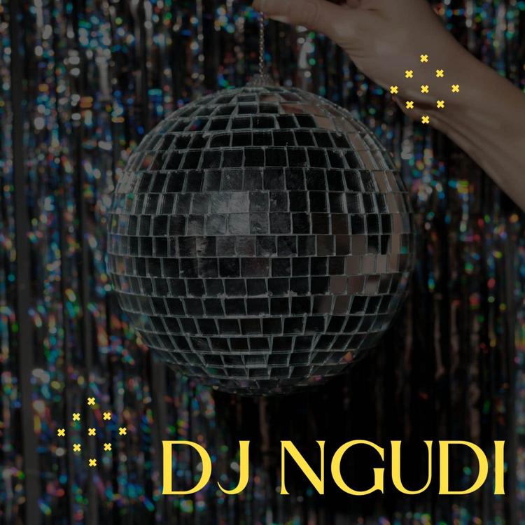 DJ NGUDI's avatar image