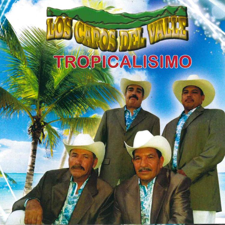 Los Capos Del Valle's avatar image