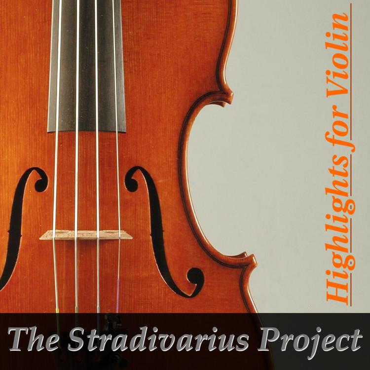 The Stradivarius Project's avatar image