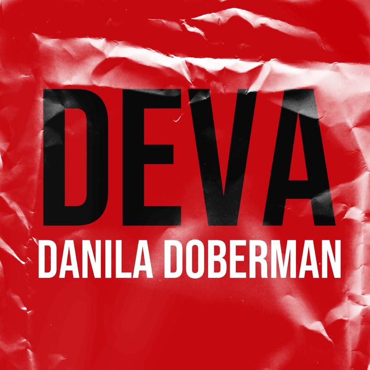 Danila Doberman's avatar image