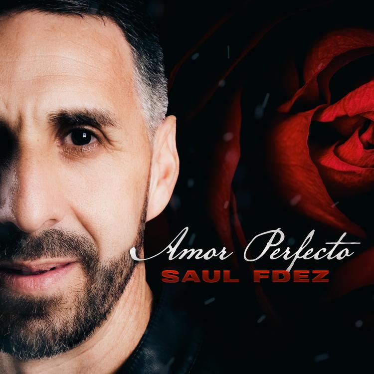 Saul Fdez's avatar image