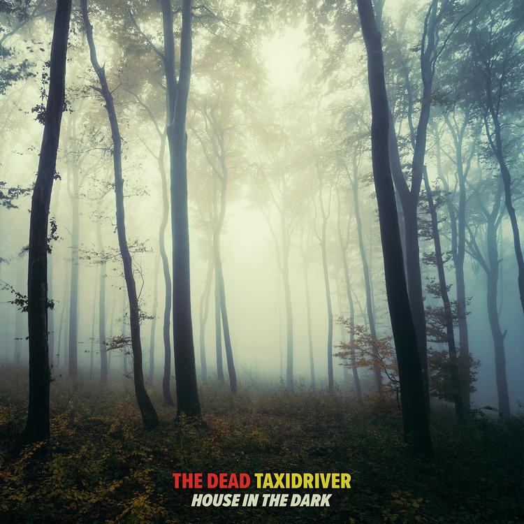 The death taxidriver's avatar image