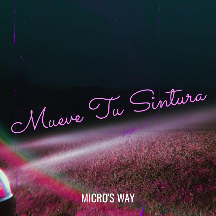 Micro'S Way's avatar image