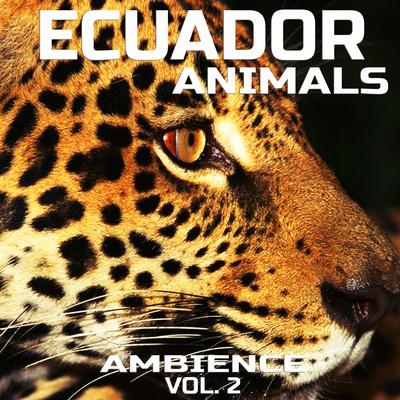 Animal Planet Ecuador Animals FX's cover