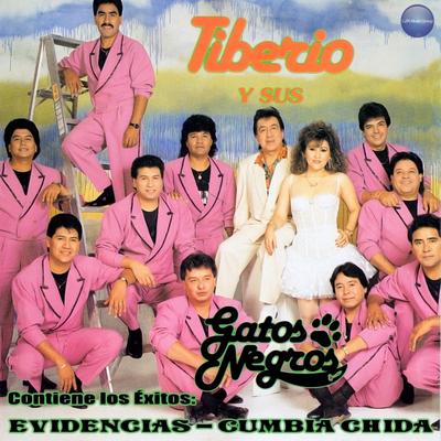 Evidencias / Cumbia Chida's cover