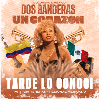 Tarde Lo Conocí (Regional Mexicano)'s cover