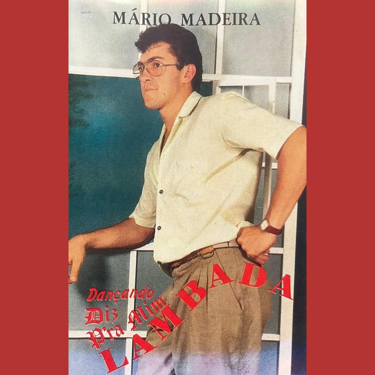 Mário Madeira's avatar image
