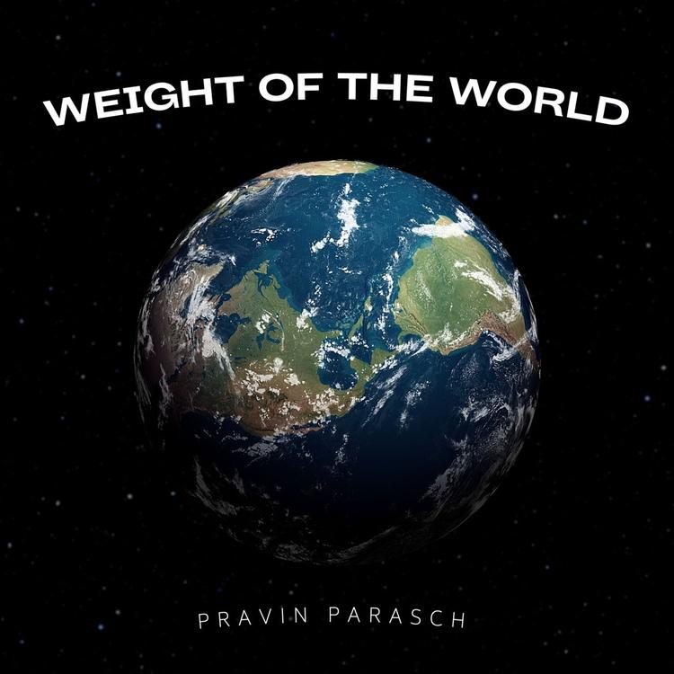 Pravin Parasch's avatar image