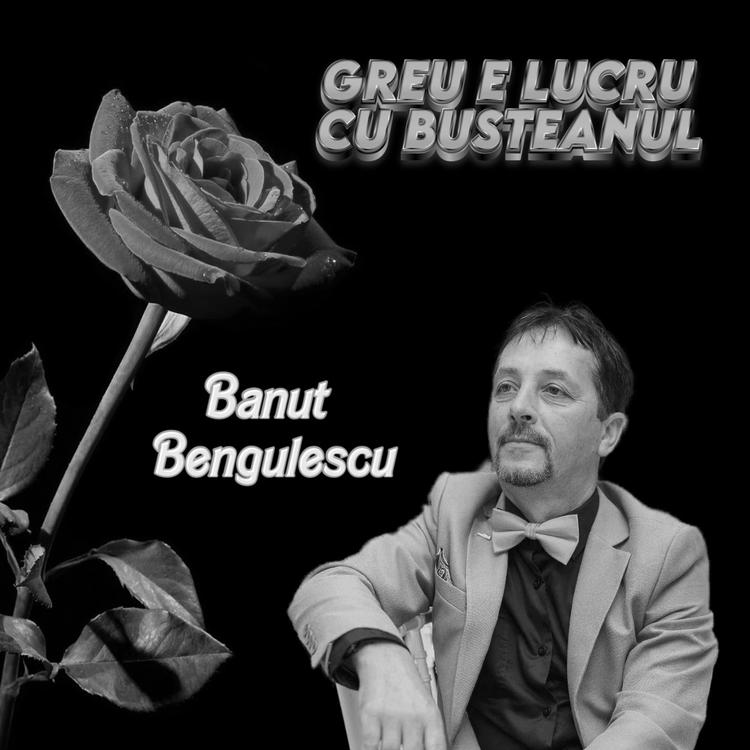 Banut Bengulescu's avatar image