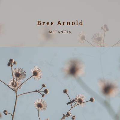 Metanoia By Bree Arnold's cover