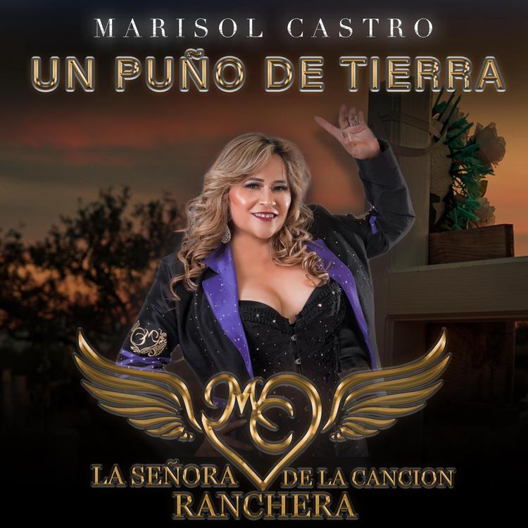 Marisol Castro's avatar image
