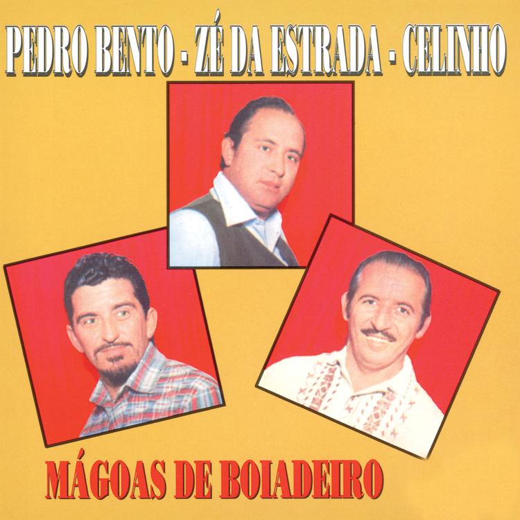 Pedro Bento, Zé Da Estrada E Celinho's avatar image