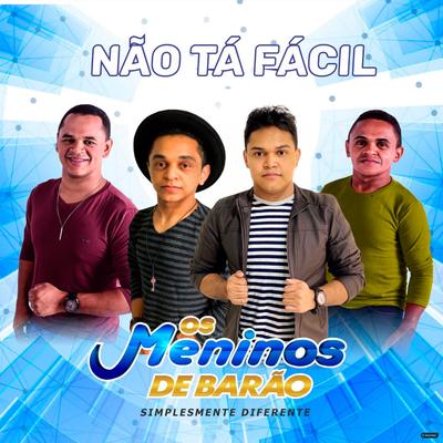 Alô (Forro de Aço) By Os Meninos de Barão's cover
